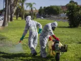 ANDALUCÍA.-Sevilla.-Salud detecta mosquitos positivos en virus del Nilo en La Puebla del Río