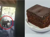 Un oso entra a una casa y se come una tarta de chocolate