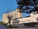 ANDALUCÍA.-Jaén.- Sucesos.- Las menores heridas en el atropello de Valdepeñas reciben el alta y solo un adulto sigue en el hospital