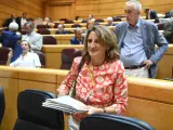 La vicepresidenta tercera y ministra para la Transici&oacute;n Ecol&oacute;gica, Teresa Ribera