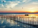 Albufera de Valencia.