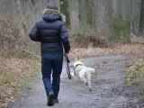 Un perro paseando con su due&ntilde;o en una foto de archivo.