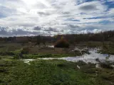 La crecida del río Jarama por las lluvias hace renacer la laguna estacional de la llanura aluvial de Lagunas de Belvis.