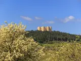 Por la regi&oacute;n de Puglia se extiende el Parque Nacional Alta Murgia, uno de los m&aacute;s j&oacute;venes del pa&iacute;s. En su interio se alza el Castel del Monte, una construcci&oacute;n Patrimonio de la Humanidad envuelta en un halo de misterio.