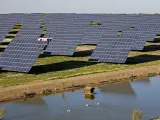 Acciona suministrará energía 100% renovable a Grupo Violas en Portugal