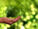 Transición Ecológica, energía renovable transición verde