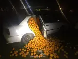 ANDALUCÍA.-Sevilla.-Alertan de una "oleada" de robos de naranjas que obliga a los agricultores a hacer "guardia por las noches"