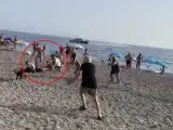 Una persecución iniciada por una patrullera del Servicio Marítimo de la Guardia Civil a unas cuatro millas de la playa de Melicena en Sorvilan (Granada) acabó con una narcolancha encallada, la detención, con la colaboración de los bañistas, de dos personas y la incautación de 808 kilos de hachís.