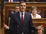 El presidente del Gobierno, Pedro Sánchez, interviene durante una sesión plenaria, en el Congreso de los Diputados