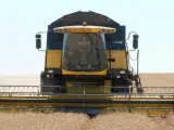 La rebaja fiscal ha ca&iacute;do como la lluvia m&aacute;s esperada aliviando a agricultores y ganaderos, asfixiados por la sequ&iacute;a. Un respiro para sectores como el de la almendra, el cereal o el olivar. Con menos ayuda, m&aacute;s descontentos, los c&iacute;tricos, las hortalizas o los esp&aacute;rragos. Adem&aacute;s de la rebaja general del 25% se puede reducir un 35% por la compra de combustible y un 15% por la de fertilizantes.