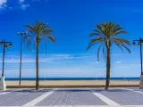 Palm trees in promenade at La Malvarrosa beach in Valencia-Spain in a sunny summer day with blue sky. XXXL 42Mp studio photo taken with SONY A7rII and Zeiss Batis 40mm F2.0 CF