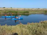 Excursi&oacute;n en kayak por el Delta del Ebro.