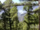Detenido un turista en La Palma como presunto autor del incendio en La Caldera