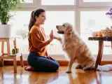 Persona cuidando de un perro.