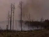 Imagen del incendio que afecta a los bosques de Jueterbog.
