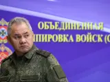 El ministro de defensa ruso Sergéi Shoigu
