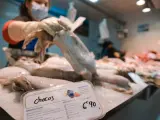 La pesca rechaza la nueva exclusi&oacute;n de los productos pesqueros de la rebaja del IVA