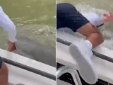 Un impactante vídeo, publicado en redes sociales, muestra el momento en que un pescador fue mordido por un tiburón, que lo arrastró por la borda a un canal de los Everglades, en Florida (EE UU).