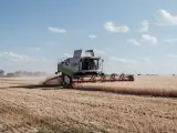 Los ministros de Agricultura se reúnen tras el abandono ruso del pacto del cereal