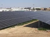 EDPR inaugura un parque fotovoltaico híbrido de 45 MW en Konary, Polonia
