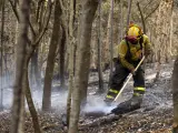 Miembros del Operativo de Prevención y Extinción de Incendios del Cabildo del Hierro (BRIFOR) colaboran en las labores de enfriamiento de las zonas afectadas por el incendio en Tenerife.