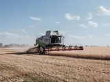 Ucrania controlará la exportación de grano tras expirar el veto a países vecinos