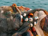 Comisiones Obreras rechaza el ERE planteado por Nueva Pescanova