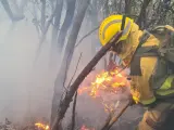 Bomberos de la BRIF de Puntagorda trabajan para sofocar las reactivaciones del incendio de Tenerife.