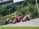 Pecco Bagnaia y Jorge Martín en Sepang.