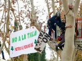 Protesta contra la tala de árboles por las obras de la L11 de Metro de Madrid, el 11 de diciembre de 2023.