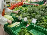 El sector agroalimentario aguarda en vilo el nuevo reglamento al plásticos en la UE
