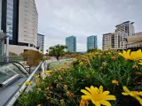 Casas que te puedes comprar en los barrios m&aacute;s caros de Espa&ntilde;a si te toca el Gordo