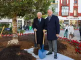 El alcalde, Jos&eacute; Luis Sanz y el presidente de la C&aacute;mara de Comercio plantando el ficus de la Encarnaci&oacute;n