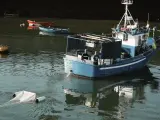 El barco 'Rokillo' participa en la recogida de pellets, en la Cofradía de Pescadores de Santurce-Puerto de Santurce