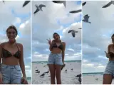 La 'influencer' Lele Pons sufre un accidente en la playa con las gaviotas.
