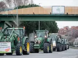 Tractores vuelven hacia Brunete en la carretera M-503 durante la cuarta jornada de protestas de los ganaderos y agricultores