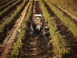 Las cláusulas espejo son una de las principales exigencias de los agricultores