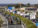 Los agricultores llevarán las 'tractoradas' a las calles de Madrid el 26 de febrero