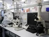 Microscopios en el laboratorio de la farmacéutica Berlimed, a 10 de octubre de 2023, en Alcalá de Henares, Madrid (España).