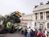 Agricultores y ganaderos protestan con sus tractores ante el Ministerio de Agricultura en Madrid este domingo.
