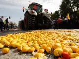 La entrada de naranja y limones de fuera de la UE dejan en el &aacute;rbol millones de kg