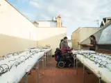 Uno de los huertos situados en azoteas municipales y gestionado por personas con discapacidad.