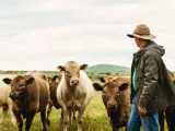 Las vacas est&aacute;n muy presentes en el refranero gallego.