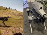 Los perros robots con los rifles.
