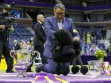 Nueva York (Estados Unidos), 15/05/2024.- Kaz Hosaka y Sage, la caniche miniatura, ganadora del Best in Show, posan para los fot&oacute;grados durante el concurso anual Westminster Kennel Club Dog Show, celebrado en el USTA Billie Jean King National Tennis Center de Queens, Nueva York