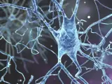 Científicos de la Western University de Londres, en Ontario (Canadá), podrían haber dado con una cura para la esclerosis lateral amiotrófica (ELA).
