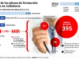 Reparto de las plazas de formaci&oacute;n sanitaria en Andaluc&iacute;a correspondientes al a&ntilde;o 2024.