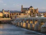 Córdoba cuenta con cinco barrios ideales para vivir con niños.