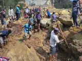 Los vecinos buscan supervivientes tras la avalancha de tierra en una aldea de Papúa Nueva Guinea.