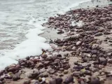 Piedras en una playa